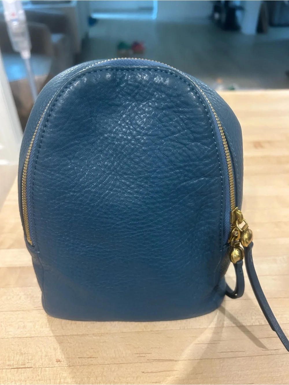 HOBO Fern Sling Crossbody Bag